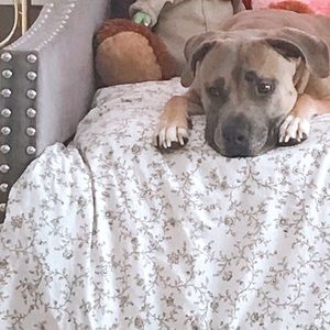 🤎🎀🤎Open to offers 🤎🎀🤎